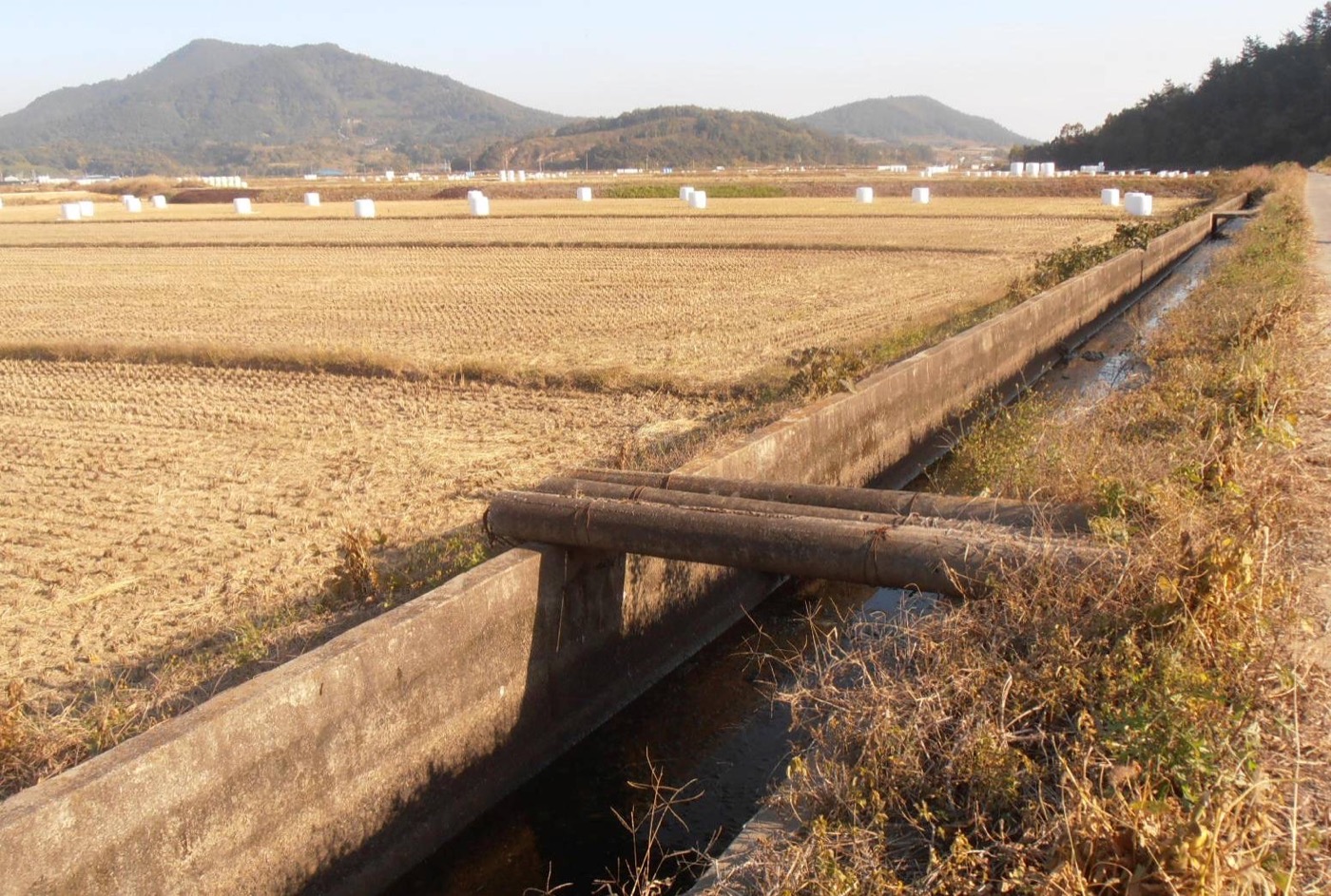 논 옆으로 난 농수로예요. 논과 밭에 대는 물을 농업용수라고 불러요.
