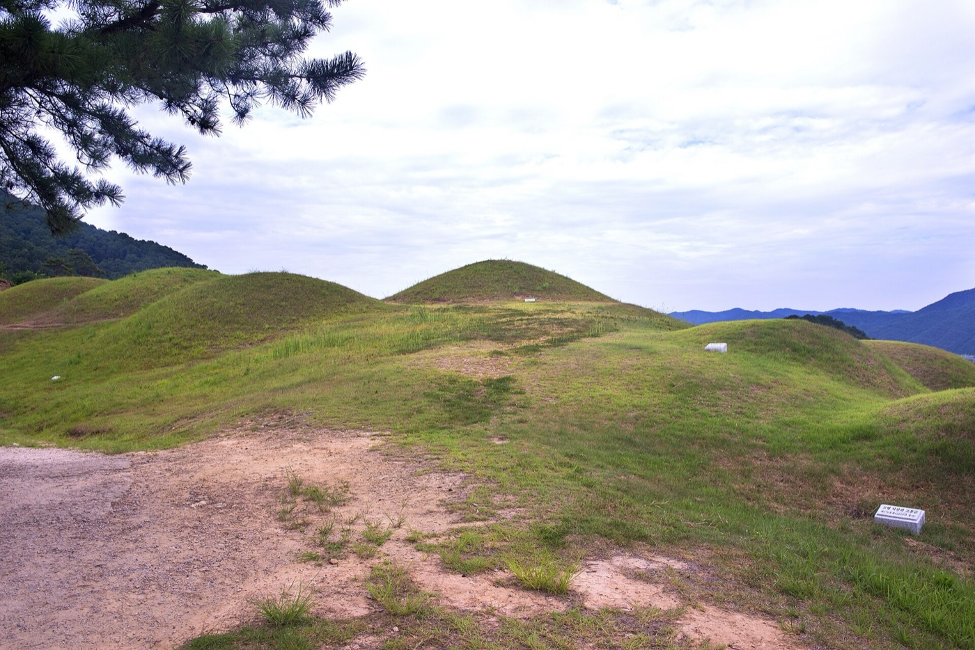 고령 지산동 고분군이에요. 능선을 따라 둥근 봉분이 줄지어 솟아 있어요. 풀로 덮여 있어서 언뜻 작은 언덕처럼 보여요.